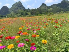 -靖西鹅泉风景区