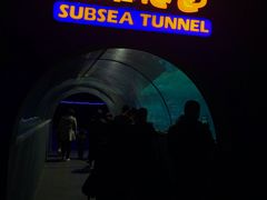 -北戴河圣蓝海洋公园