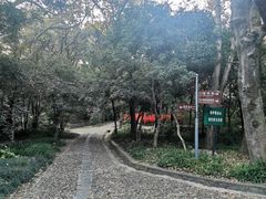 -灵谷景区