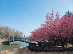 -白塘生态植物园