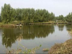 -白渔泡湿地公园