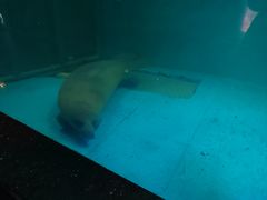 -泉城欧乐堡海洋极地世界