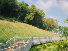 -广州市白云山风景名胜区