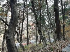 -北京上方山国家森林公园