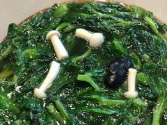 -子福慧(虹桥店)