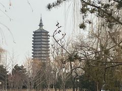 -西海子公园