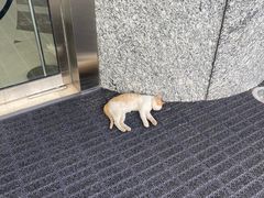 -连云港苏宁索菲特酒店