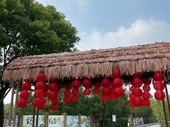 -菊园百果园