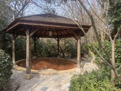 -天目湖涵田半山温泉