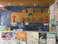 -瑞派名望志远动物医院·猫科·內科·异宠专科(直港大道店)