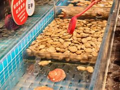-焰江山海鲜牛排烤肉自助(锦华万达二星店)