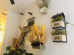 -夏叶茶(大光明店)