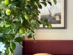 -Cafe Mersey默西咖啡(平江店)