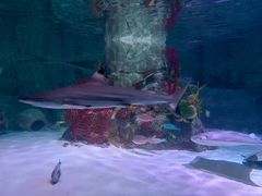 -沈阳海洋探索中心