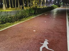-万绿园