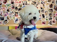 -百好乐宠物友好餐厅(朝外大街店)