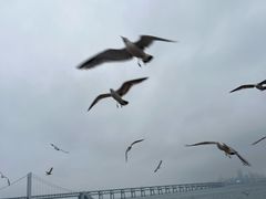 -星海广场