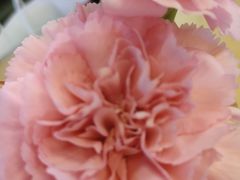 -Simple Yummy简单美味(上邦百汇城店)