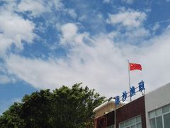 -大湾区中央湿地公园-十九涌