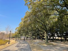 -上海市龙华烈士陵园