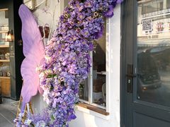 -溪岸路花鸟市场