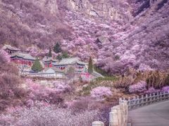 -崆峒山景区