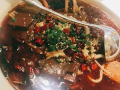 川香毛血旺-尚一汤 广东炖汤(金桥国际店)