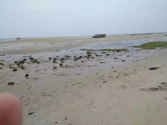 -北海金海湾红树林生态旅游区