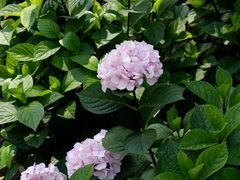 -常州古运河南大街文化旅游区-人民公园