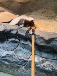 -Zoolung Zoolung动物主题公园(海信广场店)