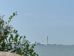 -上海滨江森林公园