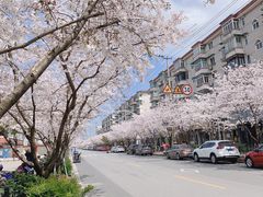 -永乐路-路侧停车场