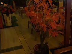 -跨越足界Spa足道(潍坊店)