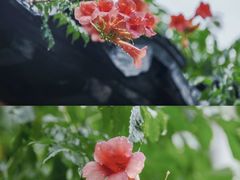 -老门东历史文化街区