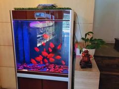 -宫七SPA·高端Massage(浦东大道店)