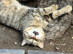 -终南山南五台景区