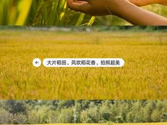 -西山风景区