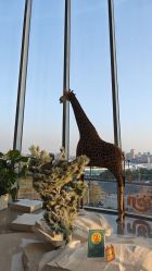 -IMON·HANSA潮玩玩偶毛绒玩具(通州万象汇店)