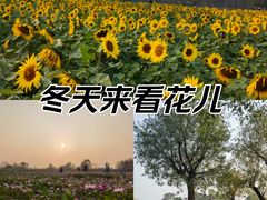 -汉长安城未央宫国家考古遗址公园