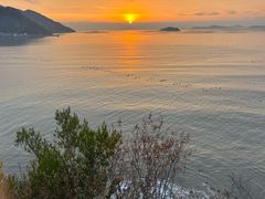 -北岐滩涂