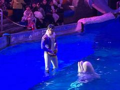 -大连圣亚海洋世界