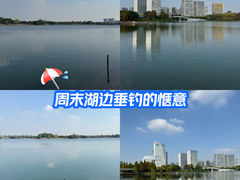 -桐乡凤凰湖