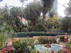 -九龙公园