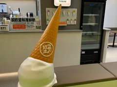 -野人先生现做冰淇淋(北京悠唐购物中心店)