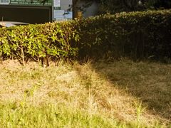 -苏州青少年科技馆