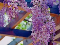 -南通博物苑-崇川人民公园