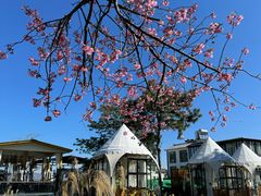 -云禾壹海景庄园餐厅
