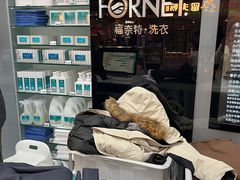 -福奈特洗衣洗鞋(博山路旭辉店)