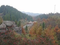 -山王坪喀斯特国家生态公园