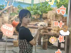 -泉州海丝野生动物世界